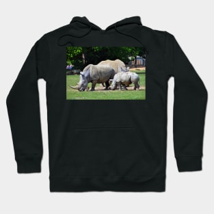 Southern White Rhino Rhinoceros Hoodie